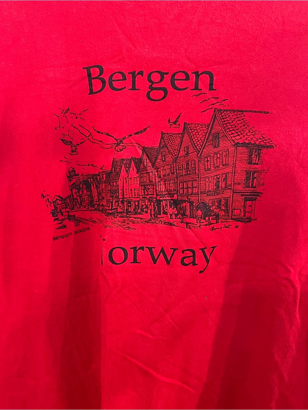 Napapijri Red Short Sleeve Tee with Bergen Norway Graphic